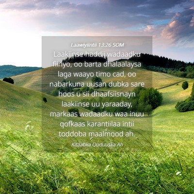 Picture 04 - Laawiyiintii 13:26 SOM - Laakiinse haddii wadaadku fiiriyo, oo barta - Bible Verse Picture