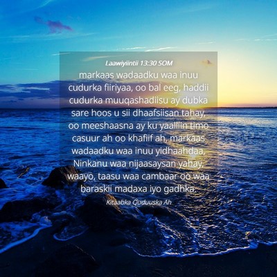 Picture 04 - Laawiyiintii 13:30 SOM - markaas wadaadku waa inuu cudurka fiiriyaa, oo - Bible Verse Picture