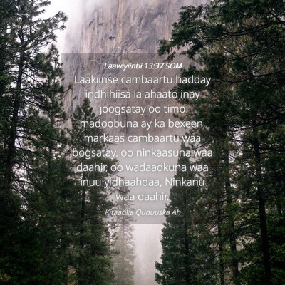 Picture 04 - Laawiyiintii 13:37 SOM - Laakiinse cambaartu hadday indhihiisa la ahaato - Bible Verse Picture