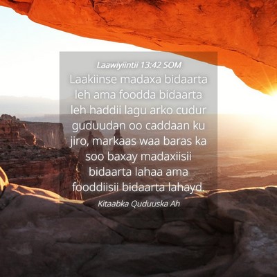 Picture 04 - Laawiyiintii 13:42 SOM - Laakiinse madaxa bidaarta leh ama foodda bidaarta - Bible Verse Picture