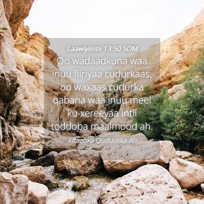Picture 04 - Laawiyiintii 13:50 SOM - Oo wadaadkuna waa inuu fiiriyaa cudurkaas, oo - Bible Verse Picture