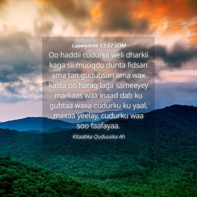 Picture 04 - Laawiyiintii 13:57 SOM - Oo haddii cudurkii weli dharkii kaga sii muuqdo - Bible Verse Picture