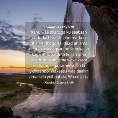 Picture 04 - Laawiyiintii 13:59 SOM - Kanu waa sharciga ku saabsan cudurka baraska ahu - Bible Verse Picture