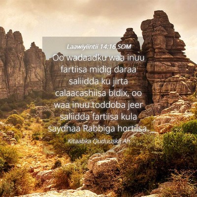 Picture 04 - Laawiyiintii 14:16 SOM - Oo wadaadku waa inuu fartiisa midig daraa - Bible Verse Picture