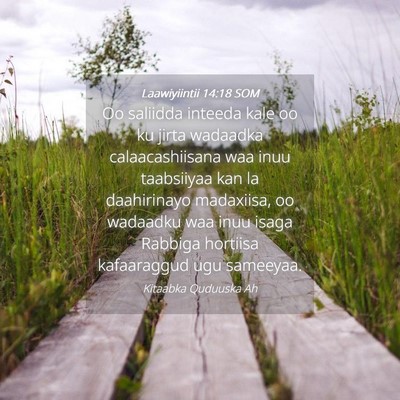 Picture 04 - Laawiyiintii 14:18 SOM - Oo saliidda inteeda kale oo ku jirta wadaadka - Bible Verse Picture
