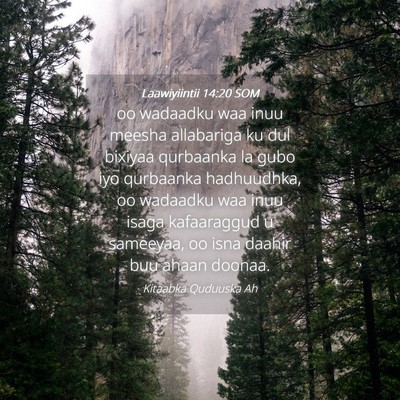 Picture 04 - Laawiyiintii 14:20 SOM - oo wadaadku waa inuu meesha allabariga ku dul - Bible Verse Picture