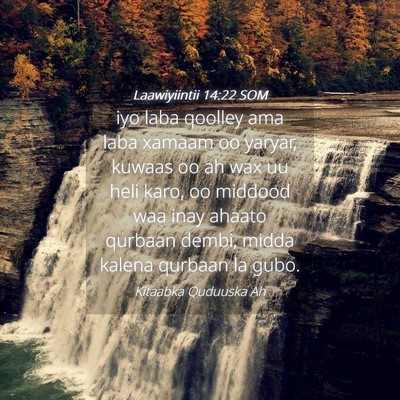 Picture 04 - Laawiyiintii 14:22 SOM - iyo laba qoolley ama laba xamaam oo yaryar, - Bible Verse Picture