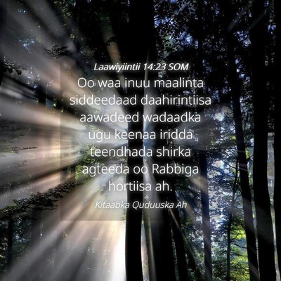 Picture 04 - Laawiyiintii 14:23 SOM - Oo waa inuu maalinta siddeedaad daahirintiisa - Bible Verse Picture