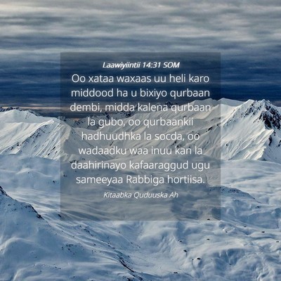 Picture 04 - Laawiyiintii 14:31 SOM - Oo xataa waxaas uu heli karo middood ha u bixiyo - Bible Verse Picture