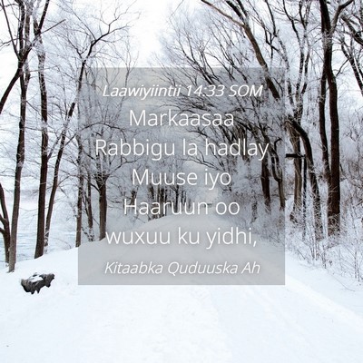 Picture 04 - Laawiyiintii 14:33 SOM - Markaasaa Rabbigu la hadlay Muuse iyo Haaruun oo - Bible Verse Picture