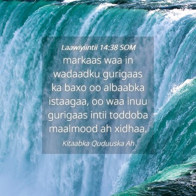 Picture 04 - Laawiyiintii 14:38 SOM - markaas waa in wadaadku gurigaas ka baxo oo - Bible Verse Picture