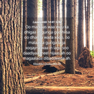 Picture 04 - Laawiyiintii 14:41 SOM - Oo markaas waa inuu ka dhigaa in guriga gudihiisa - Bible Verse Picture