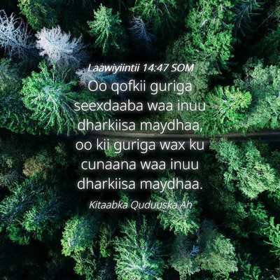 Picture 04 - Laawiyiintii 14:47 SOM - Oo qofkii guriga seexdaaba waa inuu dharkiisa - Bible Verse Picture