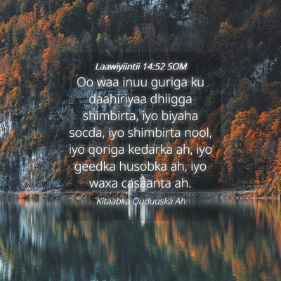 Picture 04 - Laawiyiintii 14:52 SOM - Oo waa inuu guriga ku daahiriyaa dhiigga - Bible Verse Picture