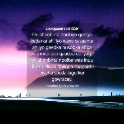 Picture 04 - Laawiyiintii 14:6 SOM - Oo shimbirta nool iyo qoriga kedarka ah, iyo waxa - Bible Verse Picture