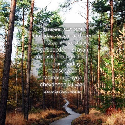 Picture 04 - Laawiyiintii 15:31 SOM - Oo sidaas waa inaad reer binu Israa'iil - Bible Verse Picture