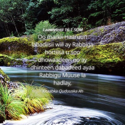 Picture 04 - Laawiyiintii 16:1 SOM - Oo markii Haaruun labadiisii wiil ay Rabbiga - Bible Verse Picture