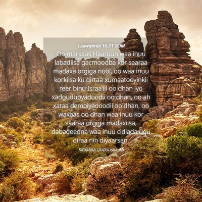 Picture 04 - Laawiyiintii 16:21 SOM - Oo markaas Haaruun waa inuu labadiisa gacmoodba - Bible Verse Picture
