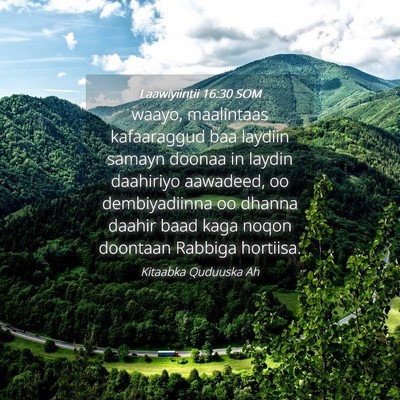 Picture 04 - Laawiyiintii 16:30 SOM - waayo, maalintaas kafaaraggud baa laydiin samayn - Bible Verse Picture