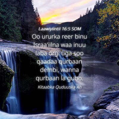 Picture 04 - Laawiyiintii 16:5 SOM - Oo ururka reer binu Israa'iilna waa inuu laba - Bible Verse Picture