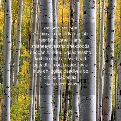 Picture 04 - Laawiyiintii 17:13 SOM - Oo nin alla ninkii ka mid ah reer binu Israa'iil - Bible Verse Picture
