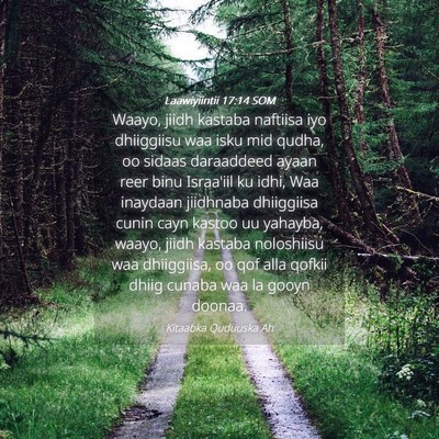 Picture 04 - Laawiyiintii 17:14 SOM - Waayo, jiidh kastaba naftiisa iyo dhiiggiisu waa - Bible Verse Picture