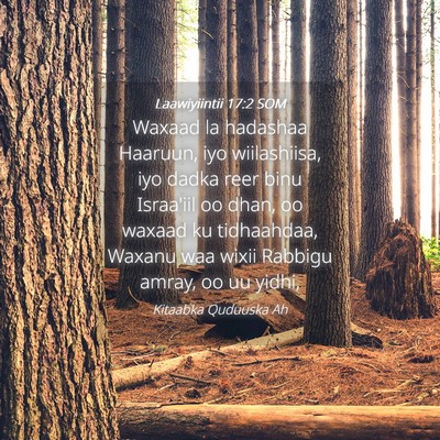 Picture 04 - Laawiyiintii 17:2 SOM - Waxaad la hadashaa Haaruun, iyo wiilashiisa, iyo - Bible Verse Picture