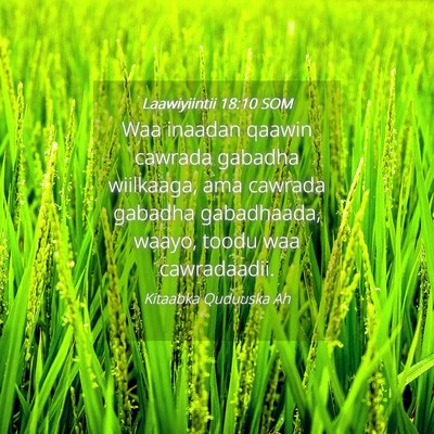 Picture 04 - Laawiyiintii 18:10 SOM - Waa inaadan qaawin cawrada gabadha wiilkaaga, ama - Bible Verse Picture