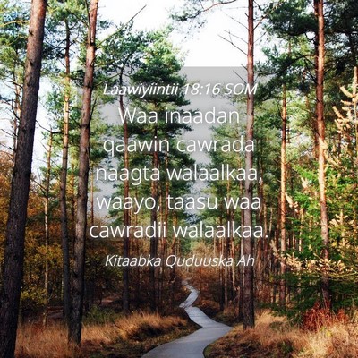 Picture 04 - Laawiyiintii 18:16 SOM - Waa inaadan qaawin cawrada naagta walaalkaa, - Bible Verse Picture