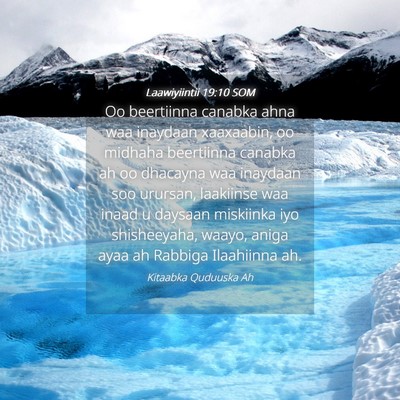 Picture 04 - Laawiyiintii 19:10 SOM - Oo beertiinna canabka ahna waa inaydaan - Bible Verse Picture