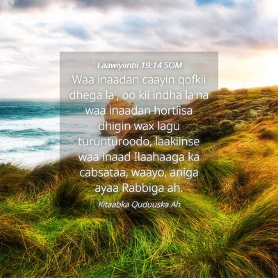 Picture 04 - Laawiyiintii 19:14 SOM - Waa inaadan caayin qofkii dhega la', oo kii indha - Bible Verse Picture