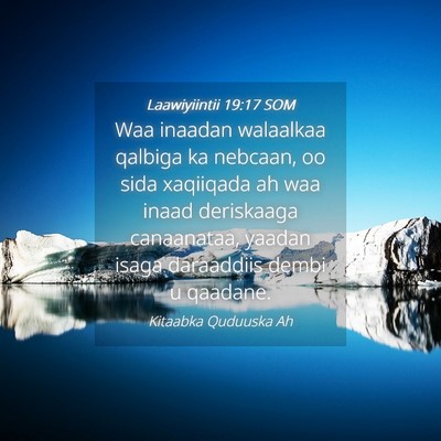 Picture 04 - Laawiyiintii 19:17 SOM - Waa inaadan walaalkaa qalbiga ka nebcaan, oo sida - Bible Verse Picture
