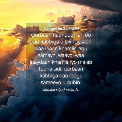 Picture 04 - Laawiyiintii 2:11 SOM - Qurbaan hadhuudh ah oo aad Rabbiga u bixinaysaan - Bible Verse Picture