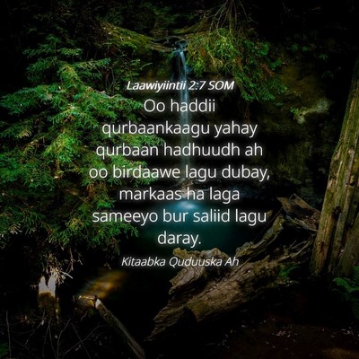 Picture 04 - Laawiyiintii 2:7 SOM - Oo haddii qurbaankaagu yahay qurbaan hadhuudh ah - Bible Verse Picture