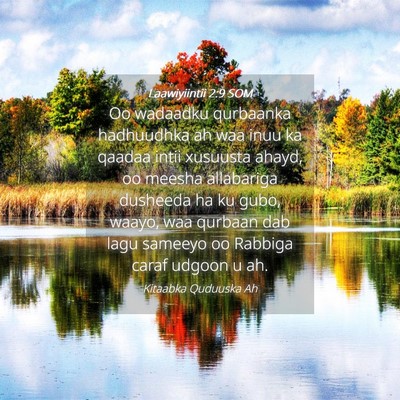 Picture 04 - Laawiyiintii 2:9 SOM - Oo wadaadku qurbaanka hadhuudhka ah waa inuu ka - Bible Verse Picture