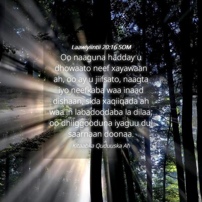 Picture 04 - Laawiyiintii 20:16 SOM - Oo naaguna hadday u dhowaato neef xayawaan ah, oo - Bible Verse Picture