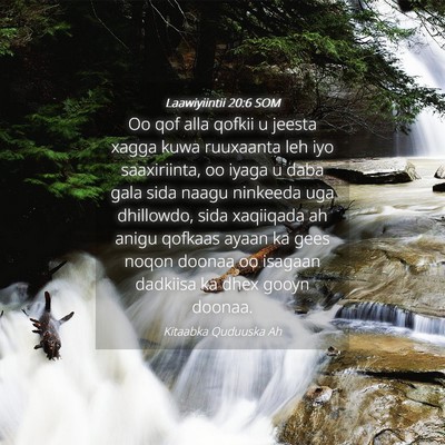 Picture 04 - Laawiyiintii 20:6 SOM - Oo qof alla qofkii u jeesta xagga kuwa ruuxaanta - Bible Verse Picture