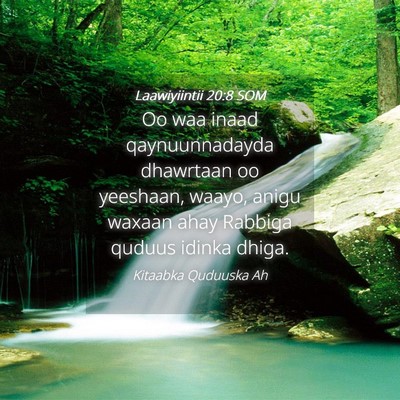 Picture 04 - Laawiyiintii 20:8 SOM - Oo waa inaad qaynuunnadayda dhawrtaan oo - Bible Verse Picture