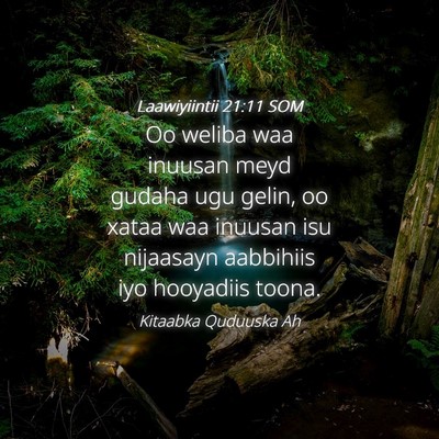 Picture 04 - Laawiyiintii 21:11 SOM - Oo weliba waa inuusan meyd gudaha ugu gelin, oo - Bible Verse Picture