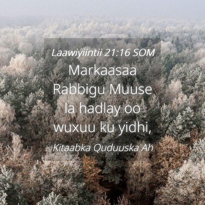 Picture 04 - Laawiyiintii 21:16 SOM - Markaasaa Rabbigu Muuse la hadlay oo wuxuu ku - Bible Verse Picture