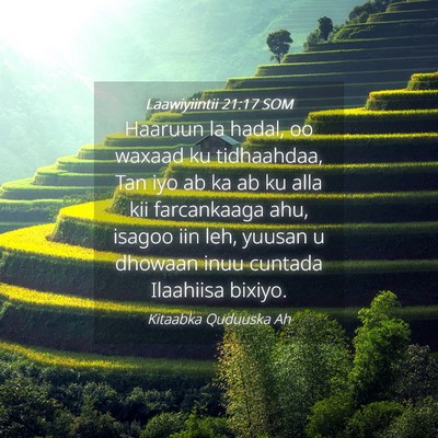 Picture 04 - Laawiyiintii 21:17 SOM - Haaruun la hadal, oo waxaad ku tidhaahdaa, Tan - Bible Verse Picture