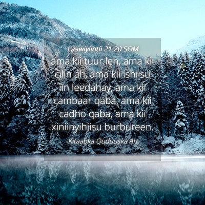 Picture 04 - Laawiyiintii 21:20 SOM - ama kii tuur leh, ama kii cilin ah, ama kii - Bible Verse Picture