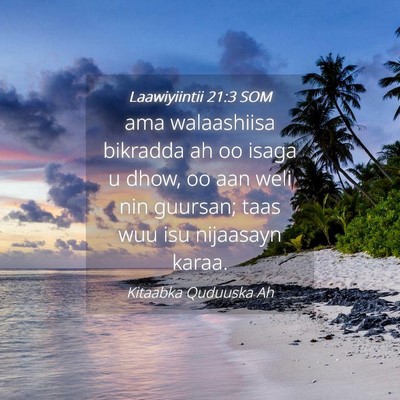 Picture 04 - Laawiyiintii 21:3 SOM - ama walaashiisa bikradda ah oo isaga u dhow, oo - Bible Verse Picture