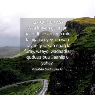 Picture 04 - Laawiyiintii 21:7 SOM - Waa inayan guursan naag dhillo ah ama mid la - Bible Verse Picture