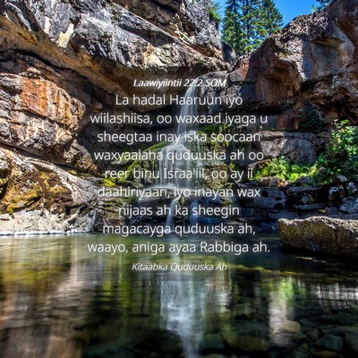 Picture 04 - Laawiyiintii 22:2 SOM - La hadal Haaruun iyo wiilashiisa, oo waxaad iyaga - Bible Verse Picture