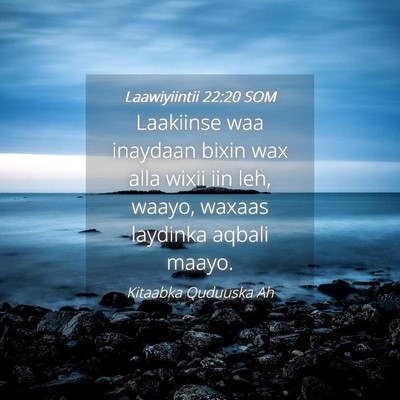 Picture 04 - Laawiyiintii 22:20 SOM - Laakiinse waa inaydaan bixin wax alla wixii iin - Bible Verse Picture