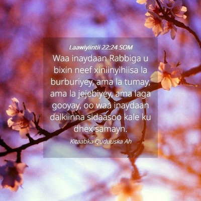 Picture 04 - Laawiyiintii 22:24 SOM - Waa inaydaan Rabbiga u bixin neef xiniinyihiisa - Bible Verse Picture