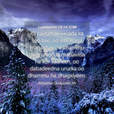 Picture 04 - Laawiyiintii 24:14 SOM - Kii caytamay xerada ka soo bixi, oo intii isaga - Bible Verse Picture