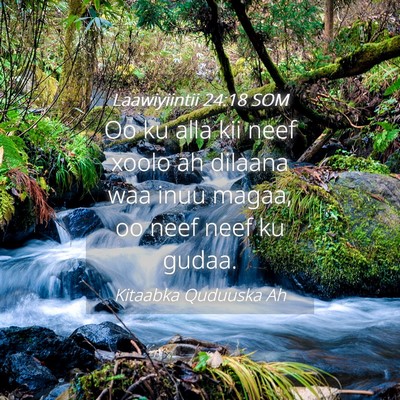 Picture 04 - Laawiyiintii 24:18 SOM - Oo ku alla kii neef xoolo ah dilaana waa inuu - Bible Verse Picture