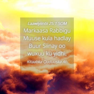 Picture 04 - Laawiyiintii 25:1 SOM - Markaasa Rabbigu Muuse kula hadlay Buur Siinay oo - Bible Verse Picture